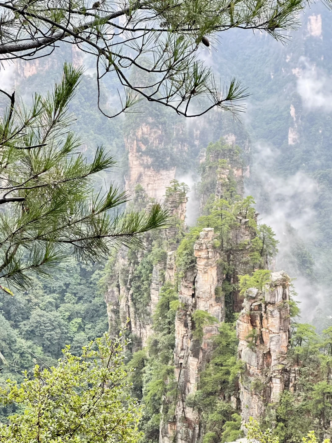 1️⃣适合带爸妈的张家界不费腿攻略