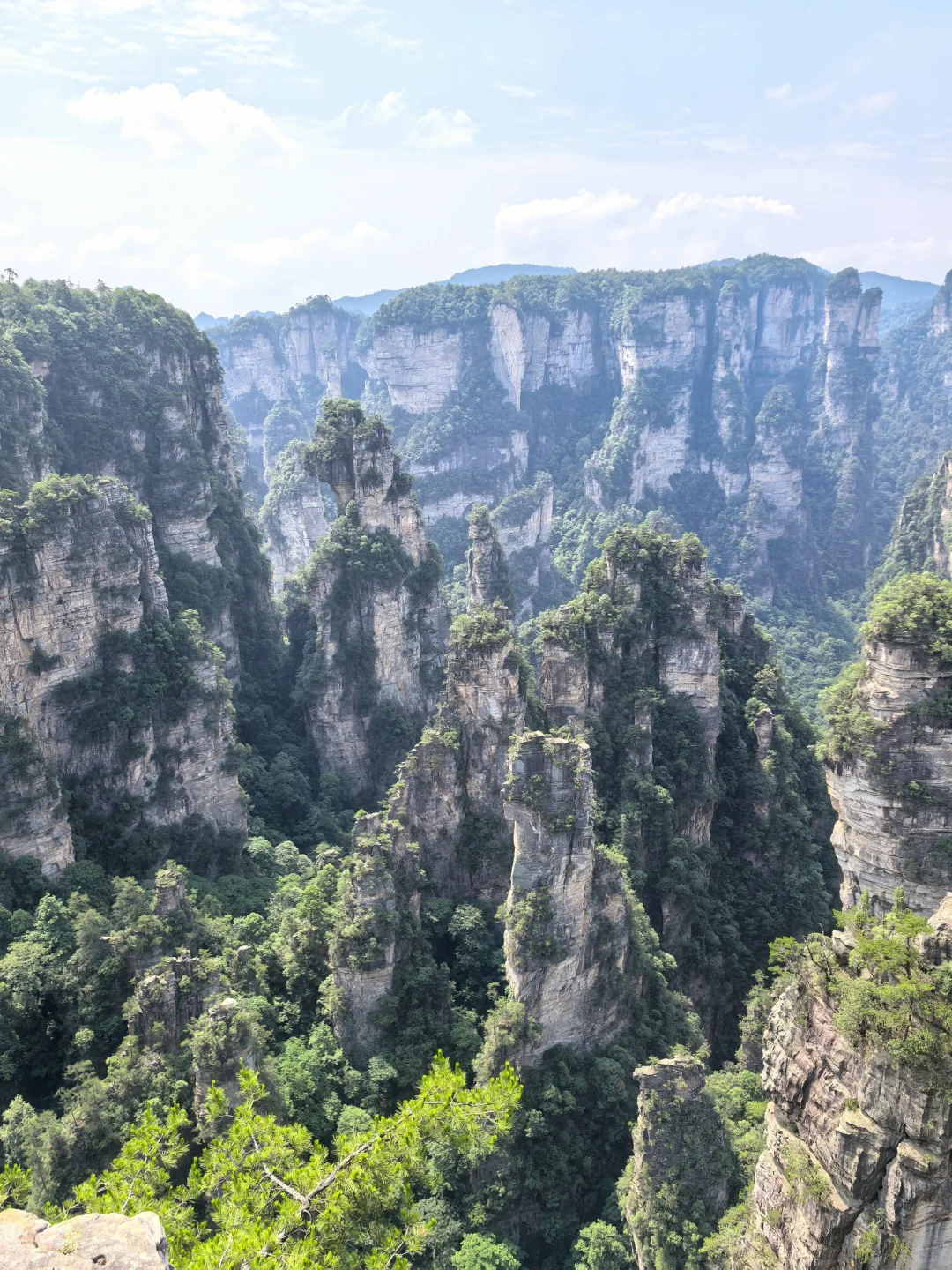 不愧是世界的张家界！！！