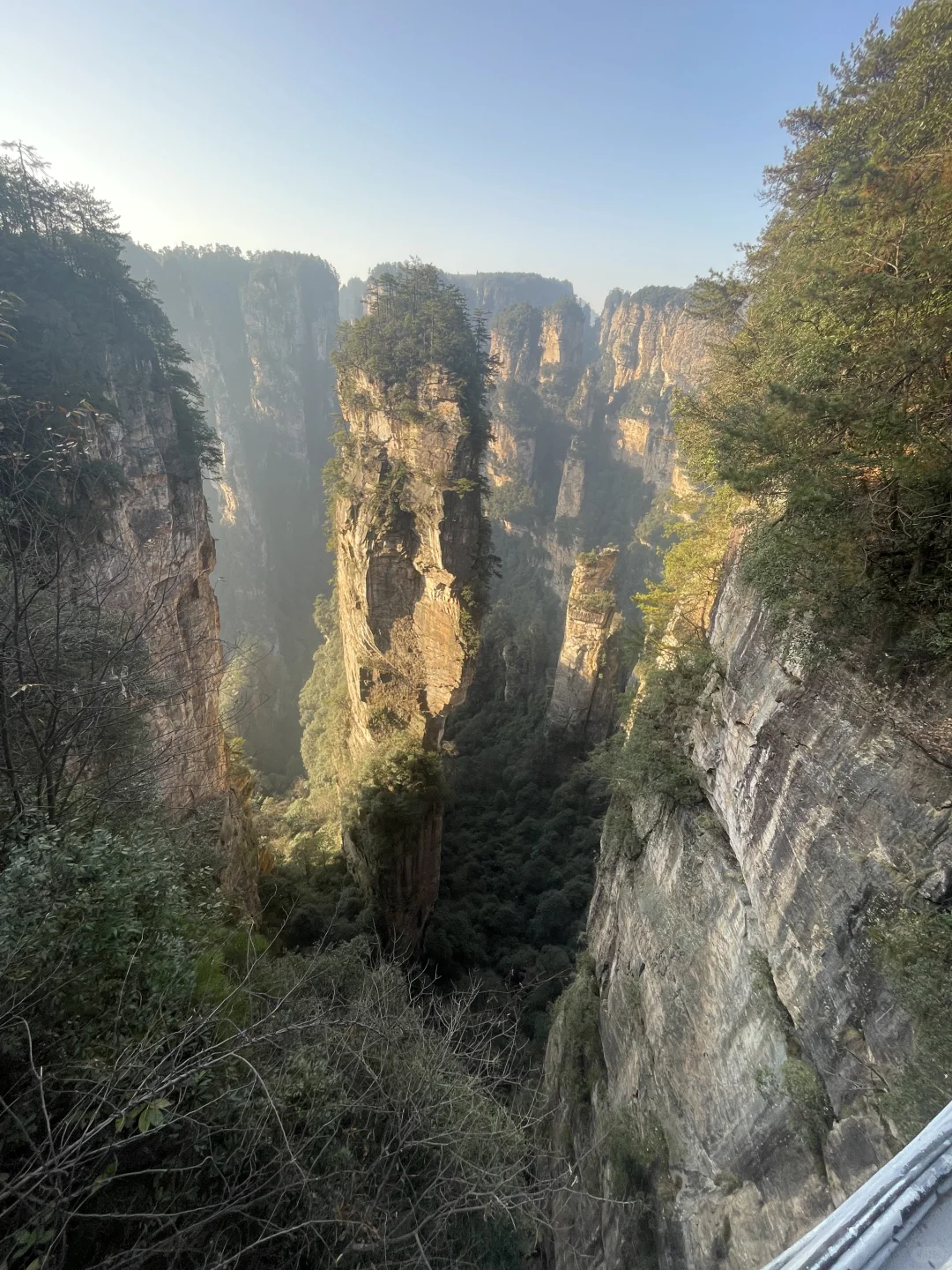 到站张家界第三天