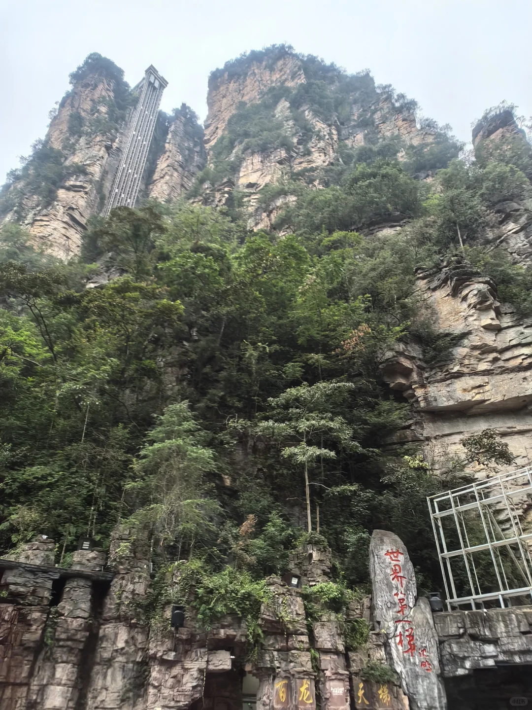 1️⃣适合带爸妈的张家界不费腿攻略