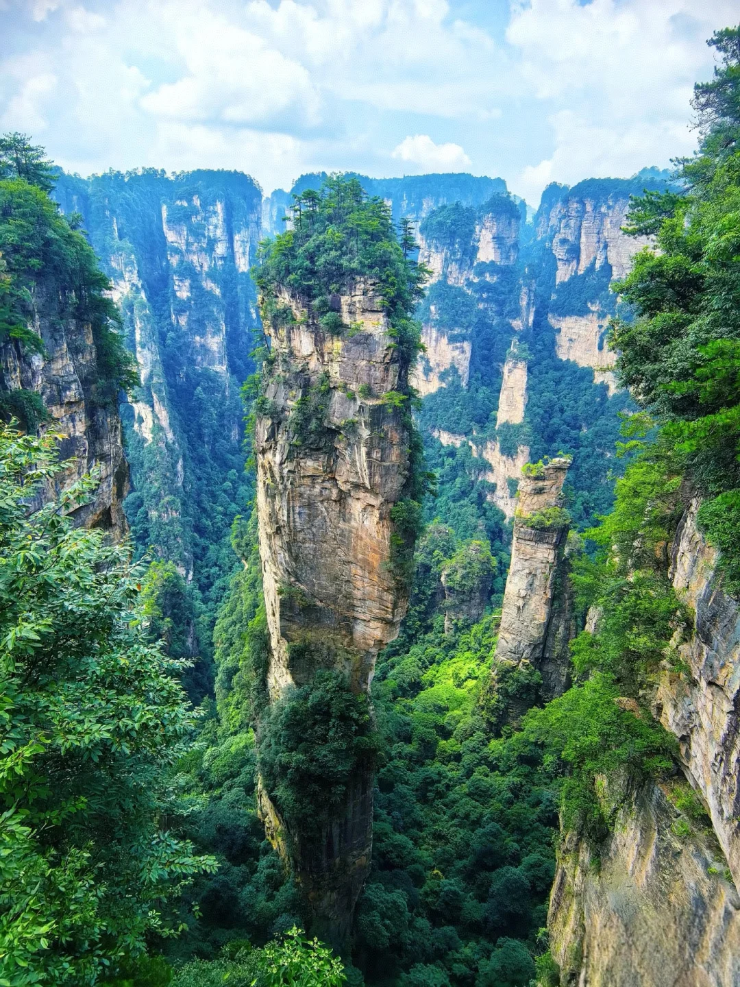 📍𝐙𝐡𝐚𝐧𝐠 𝐉𝐢𝐚 ?