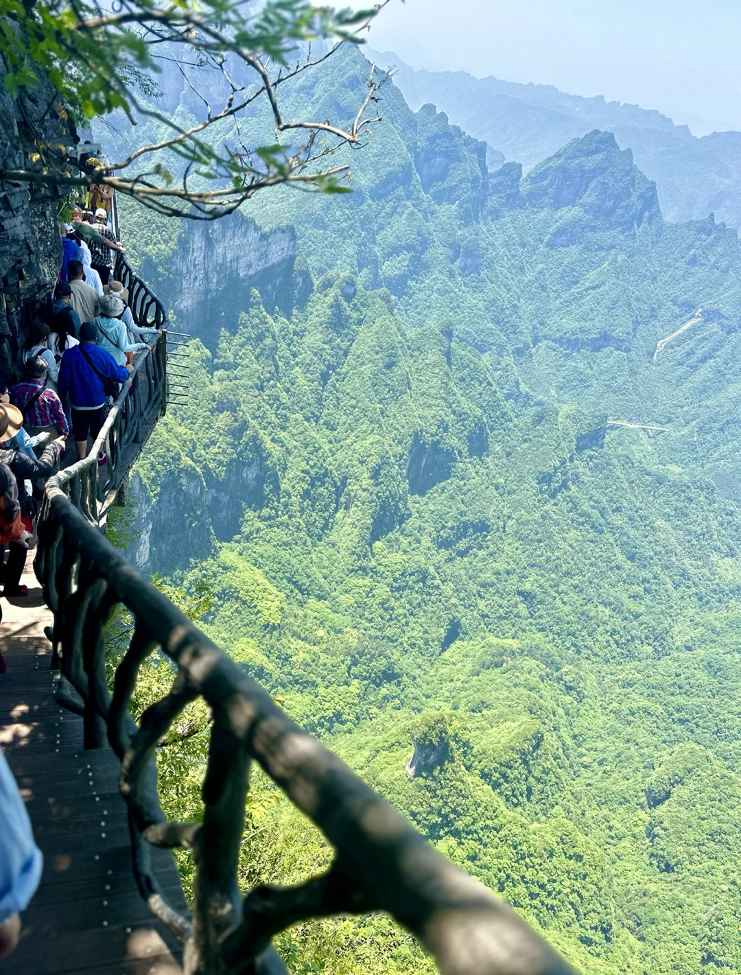 📍 𝐙𝐡𝐚𝐧𝐠 𝐣𝐢𝐚 𝐣𝐢𝐞