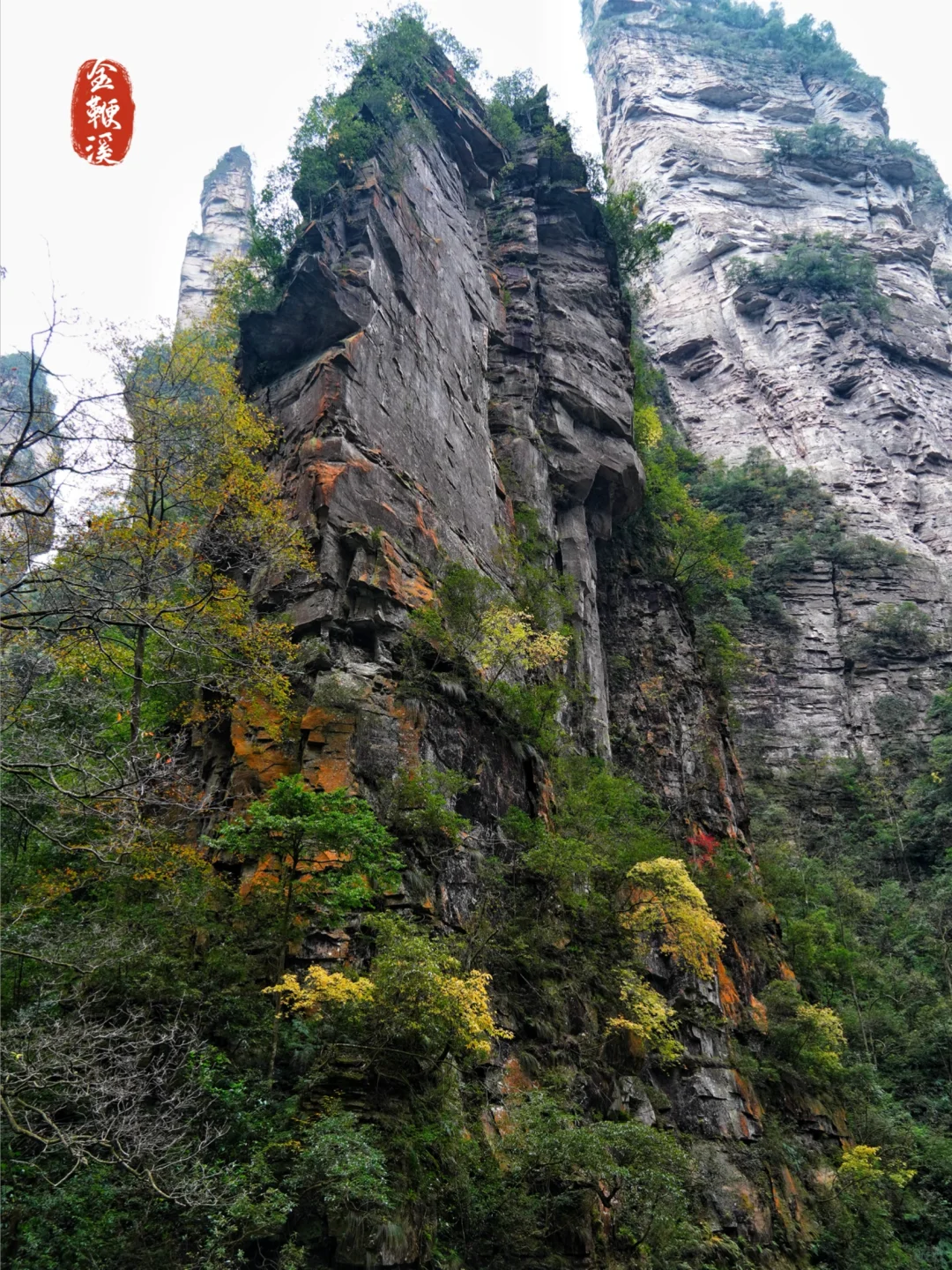 强推淡季的张家界‼️附攻略地图