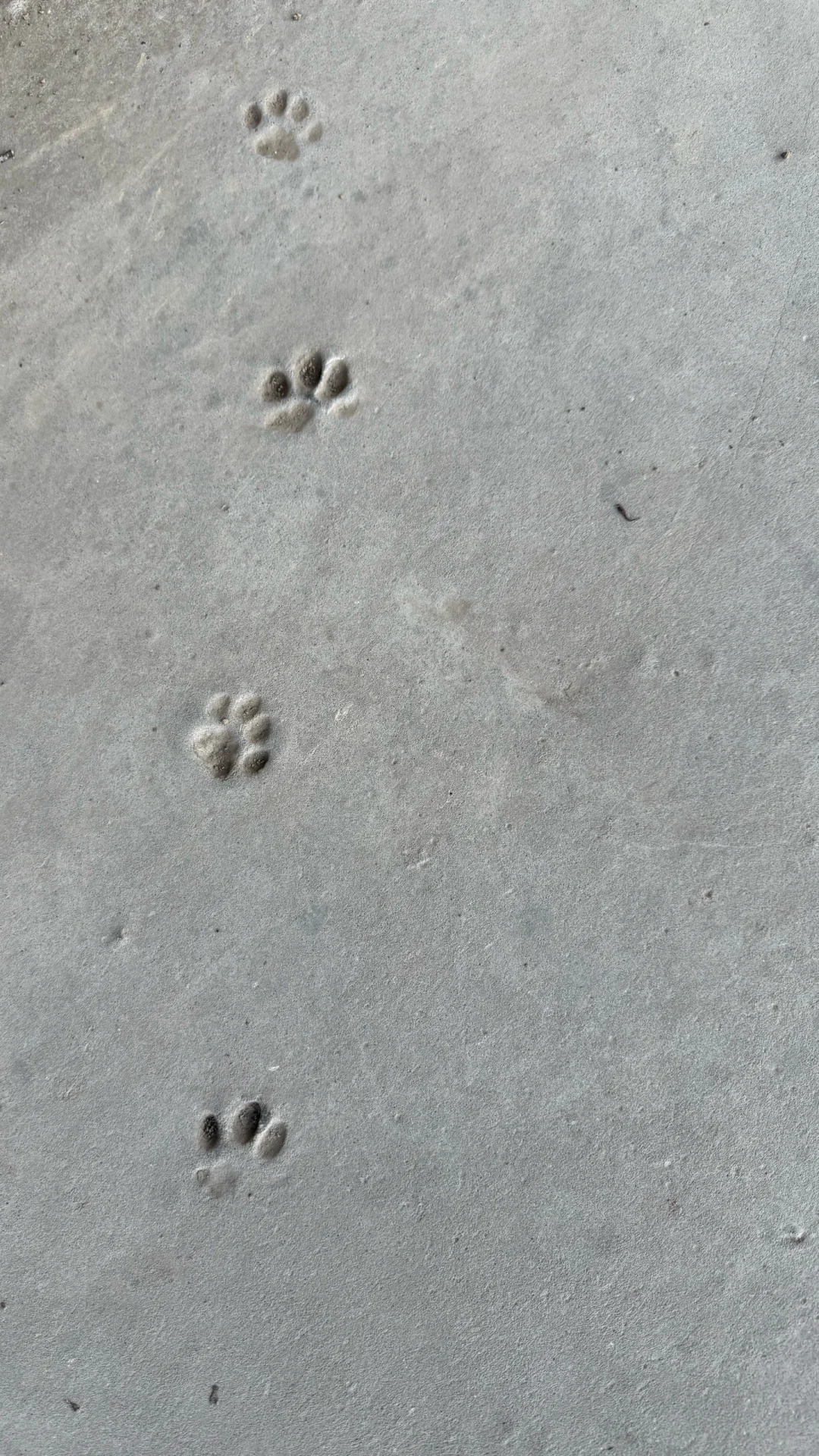 张家界天门山一日游懒人攻略🐾