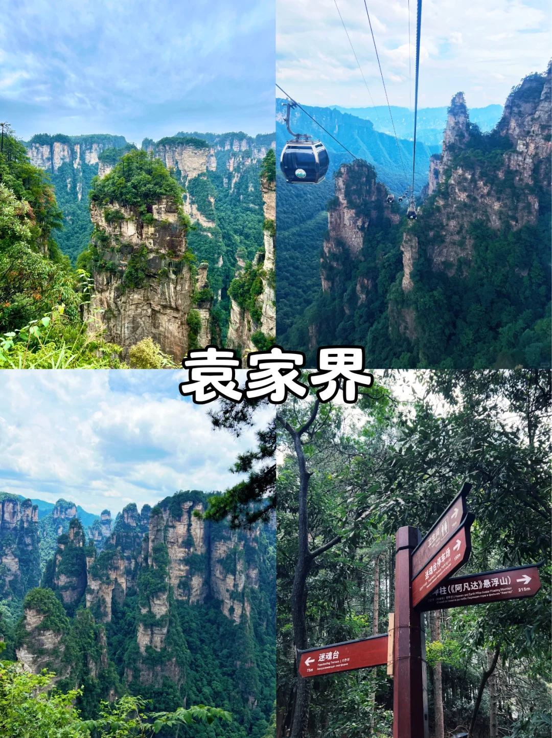 张家界三索一梯，太震撼了！快来快来