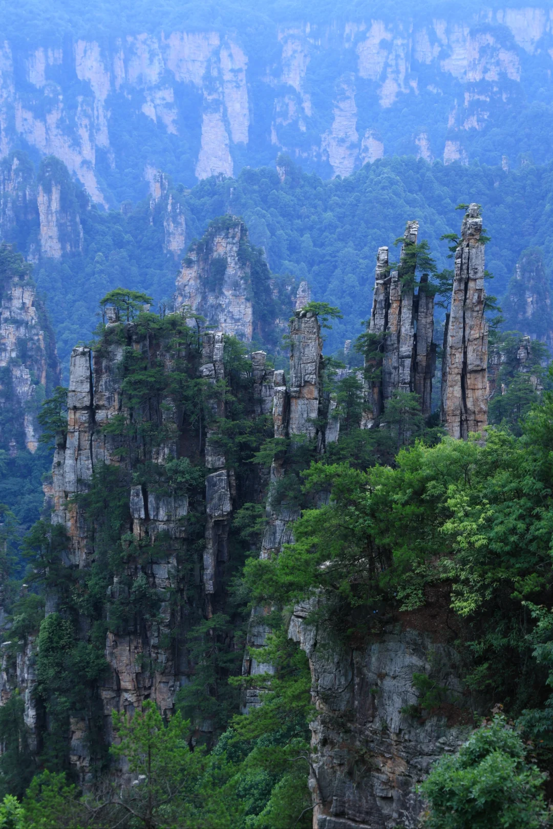 张家界很好，下次不来了！