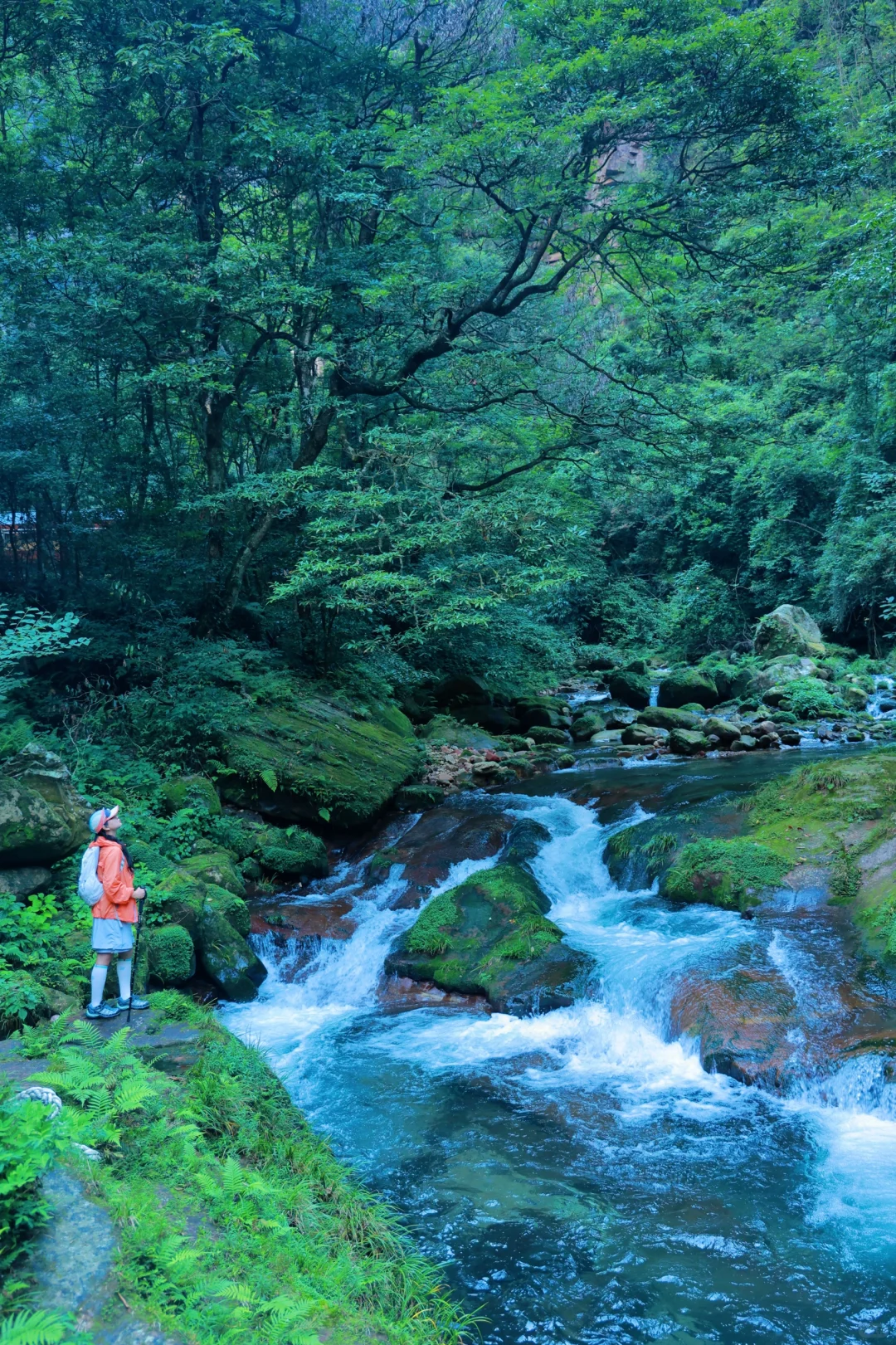 张家界刚回，再也不听小红书乱说了😭
