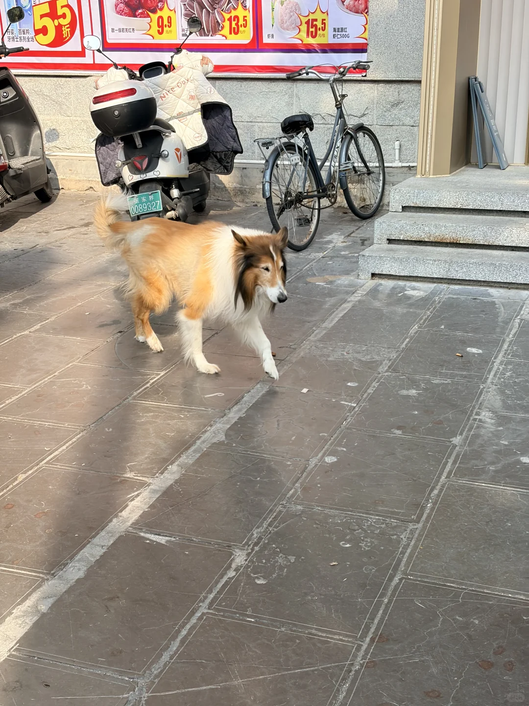 张家界国家森林公园之金鞭溪+黄石寨