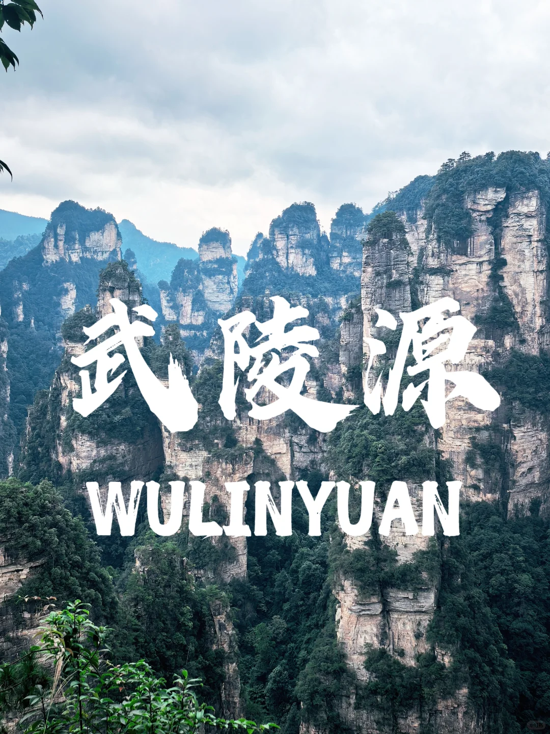 📍张家界 | 武陵源