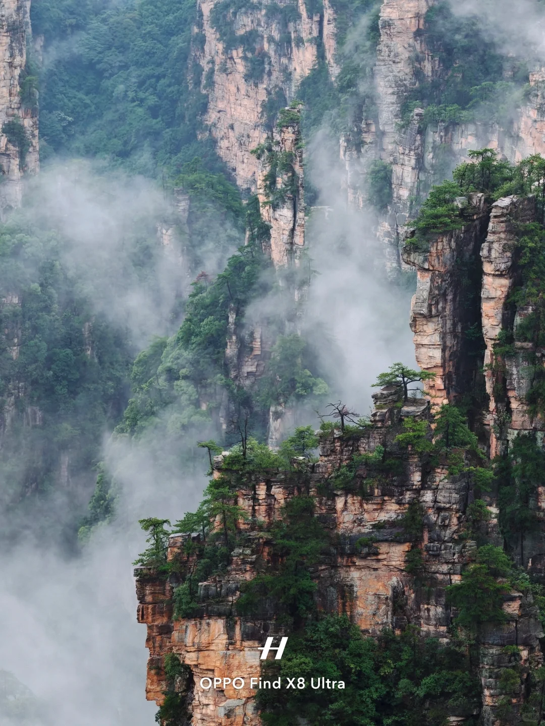 去了张家界，才知道水墨画还是太保守了……