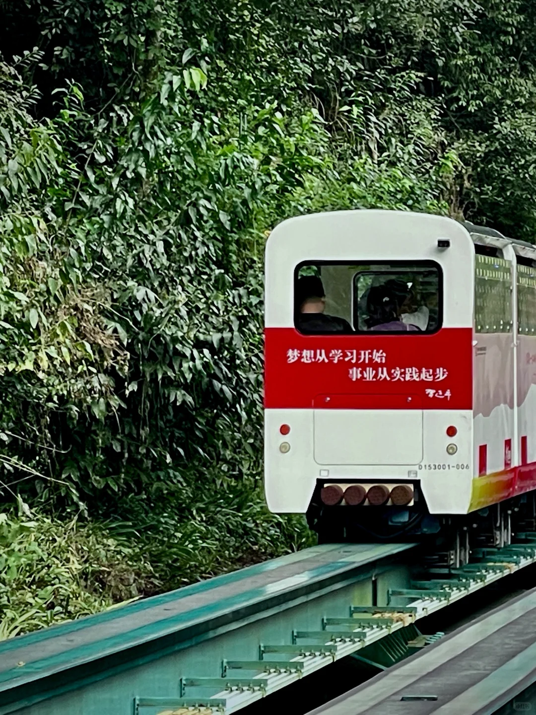 张家界｜大自然的鬼斧神工