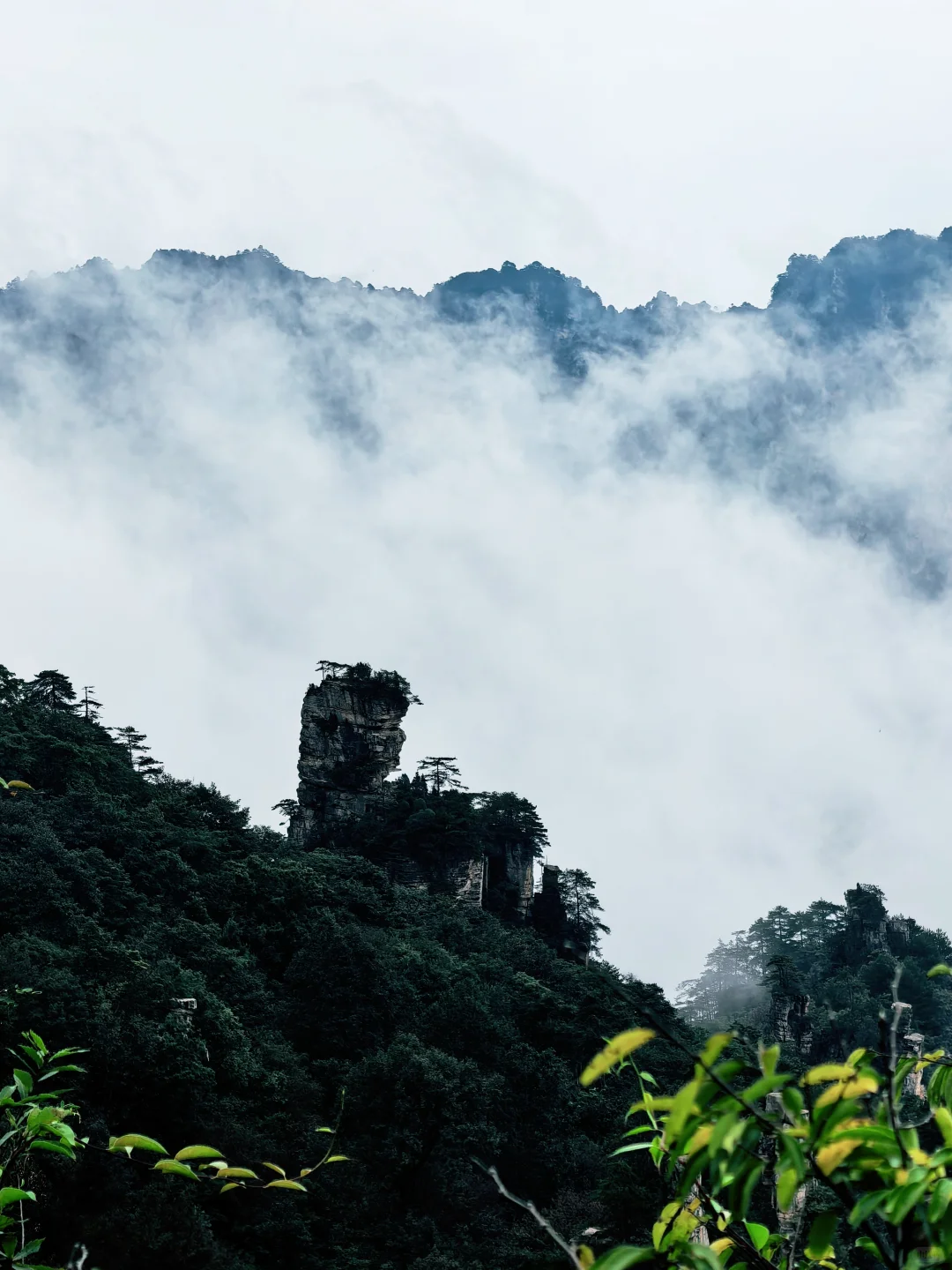 📍张家界 | 武陵源
