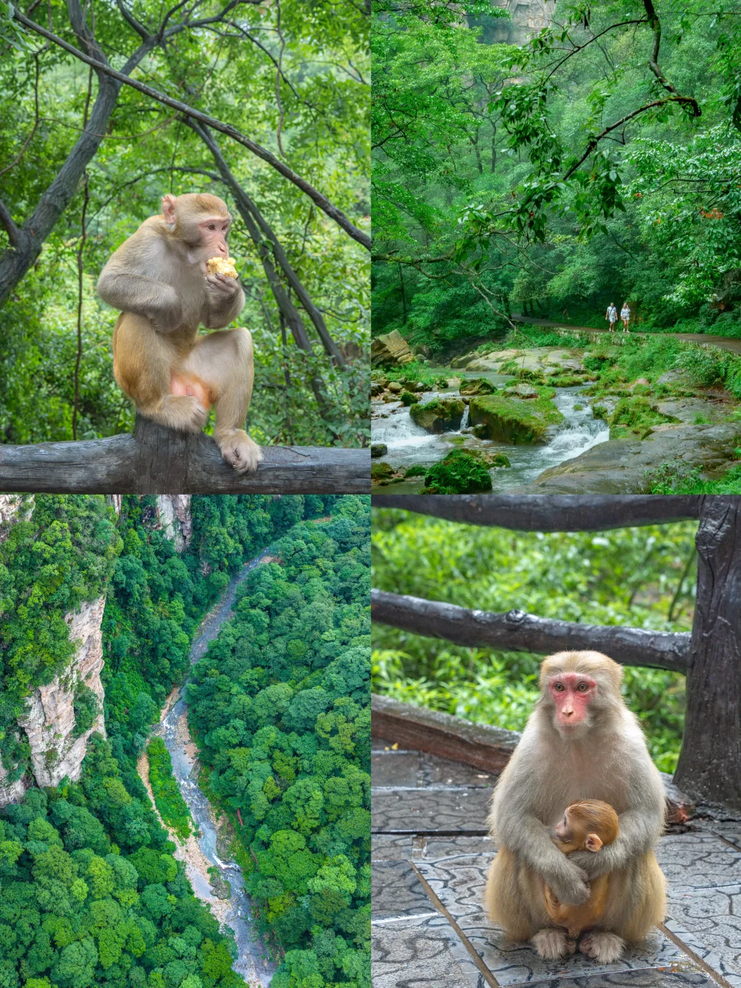 张家界‼️这么美你不宣传❓你糊涂啊😭