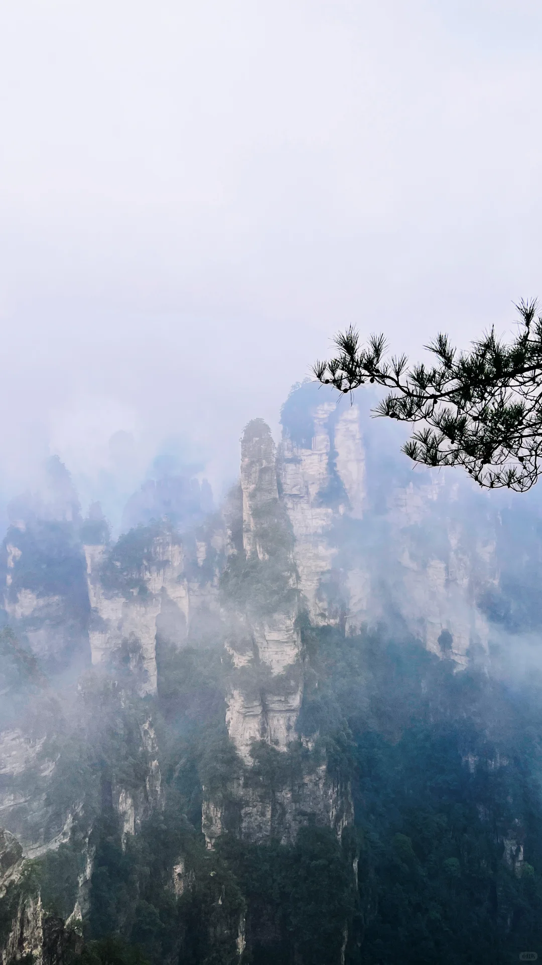 12月份的张家界国家森林公园