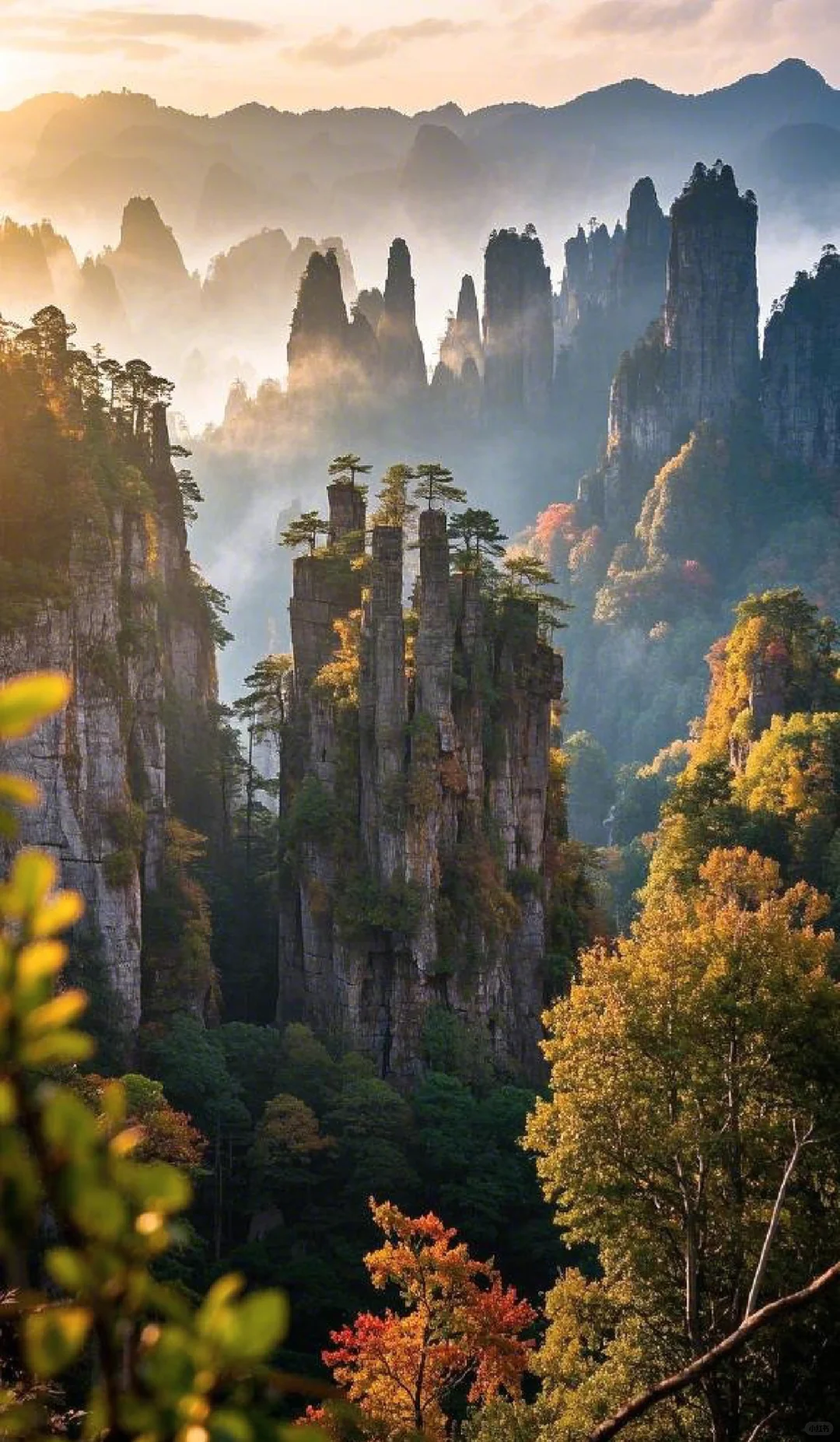 当秋色邂逅奇峰，这里的美让人词穷🍁