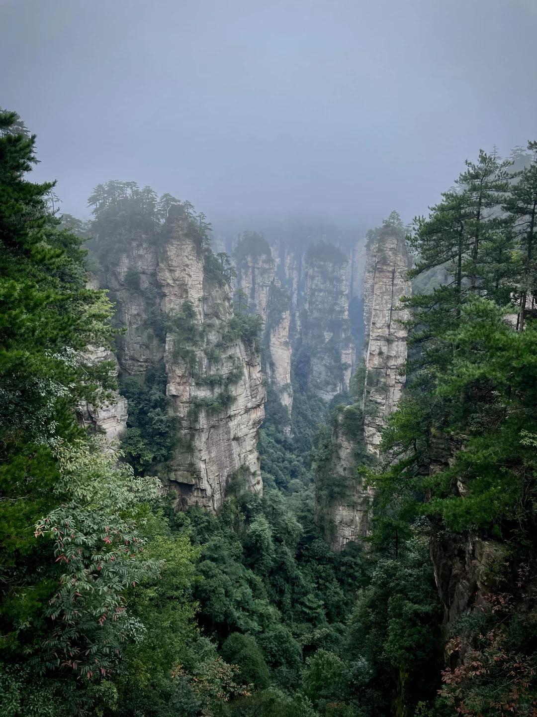 张家界｜大自然的鬼斧神工
