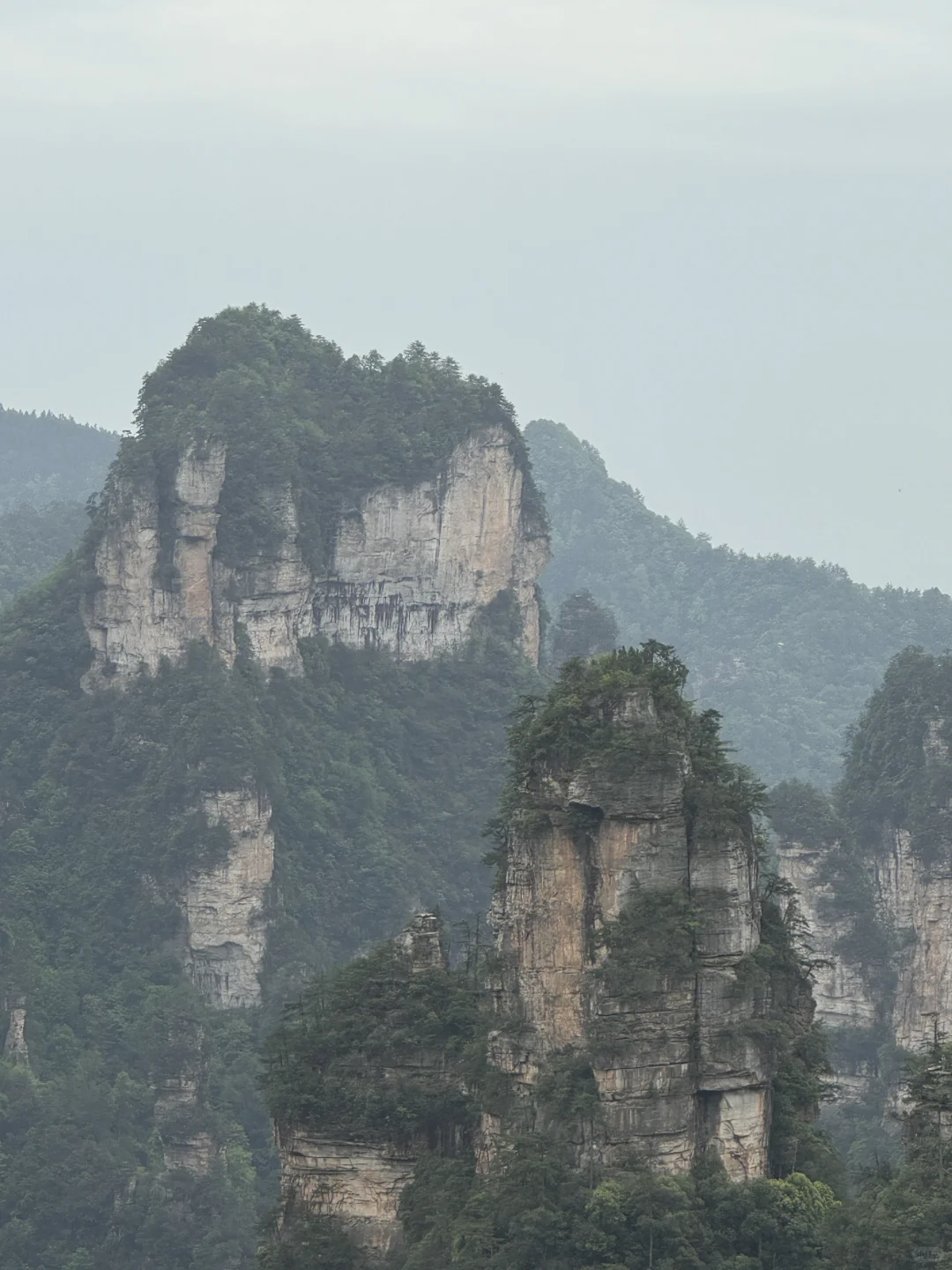 到底是谁在宣传张家界好玩啊，差评差评
