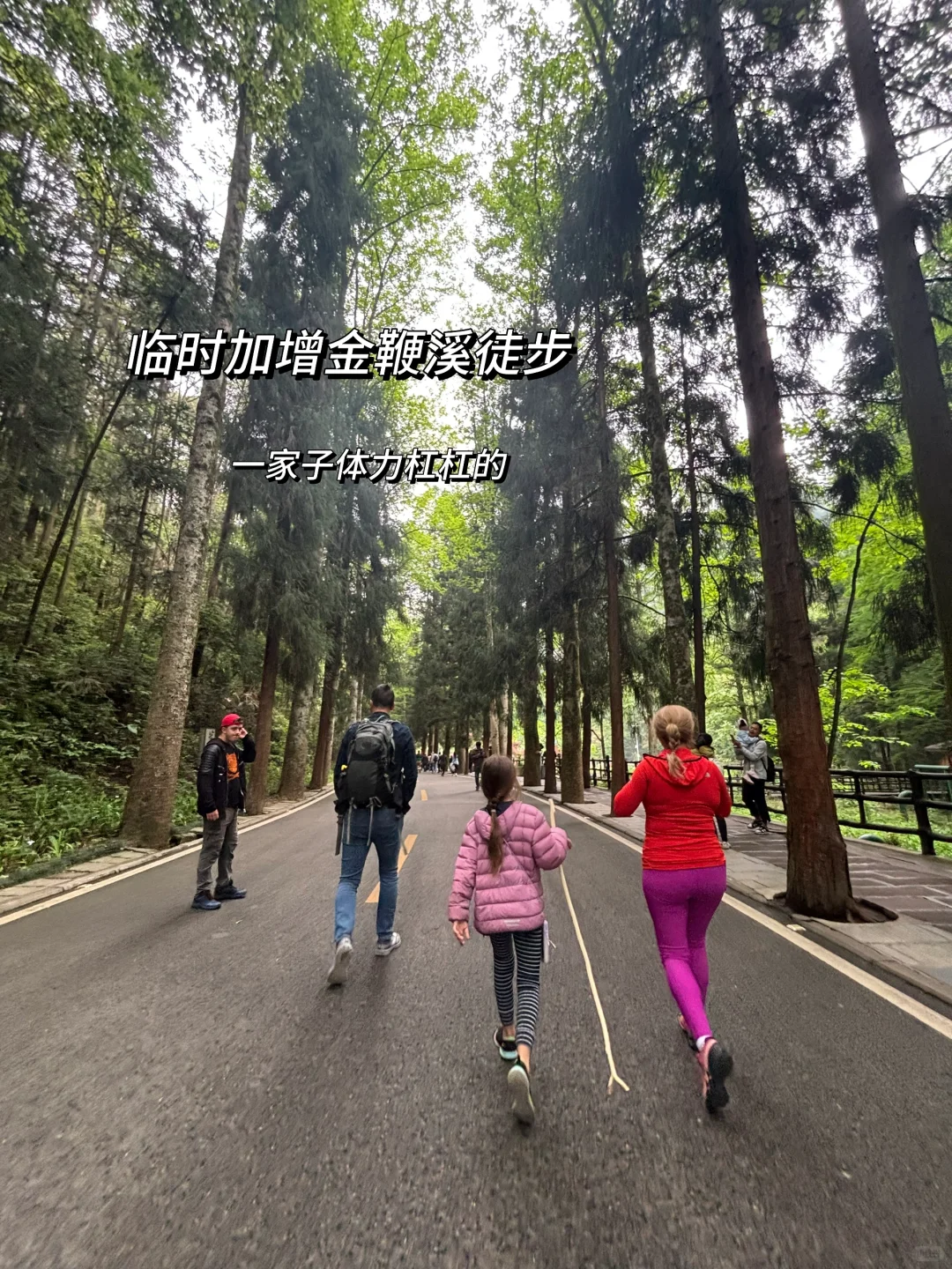 张家界英文导游|带团日记(四)