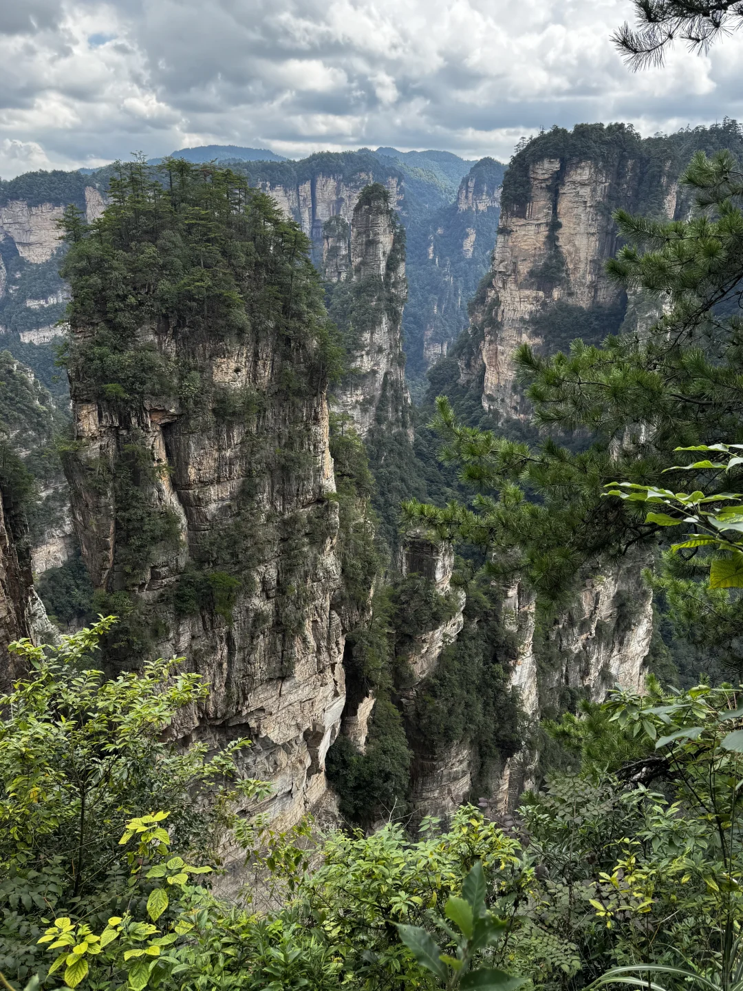 仙境之阿凡达故里