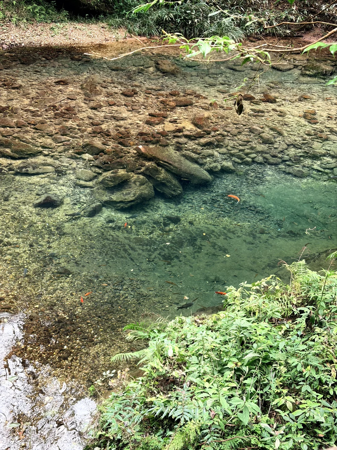 张家界国家森林公园之金鞭溪+黄石寨