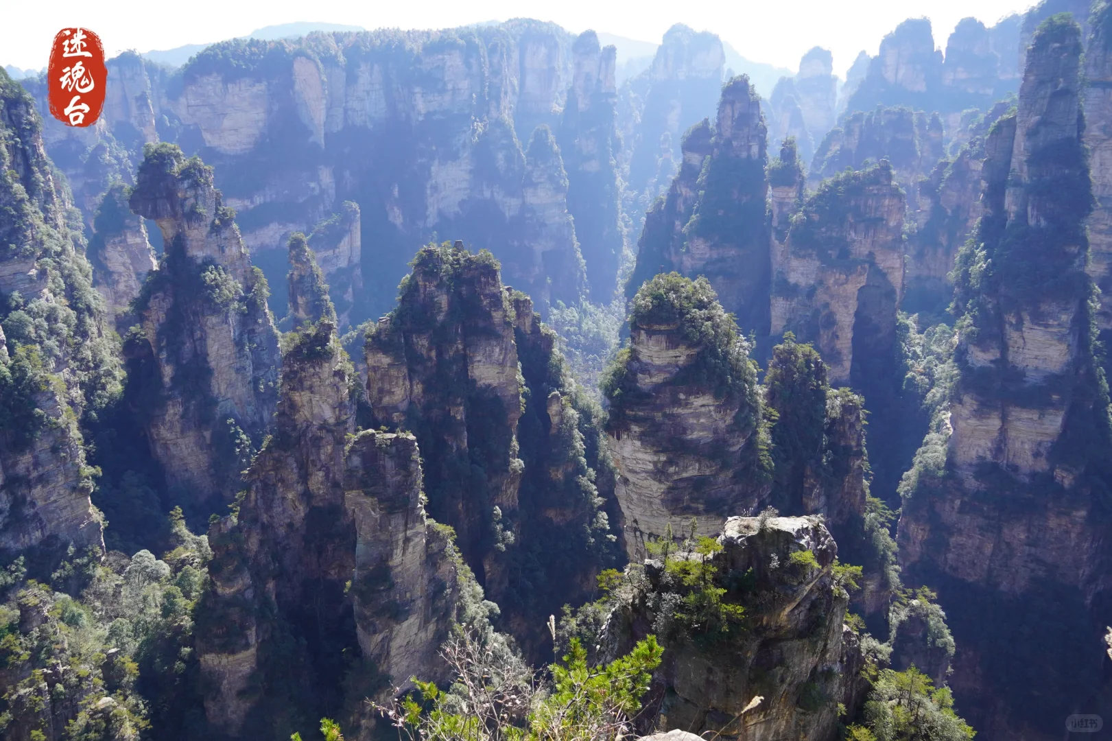 强推淡季的张家界‼️附攻略地图