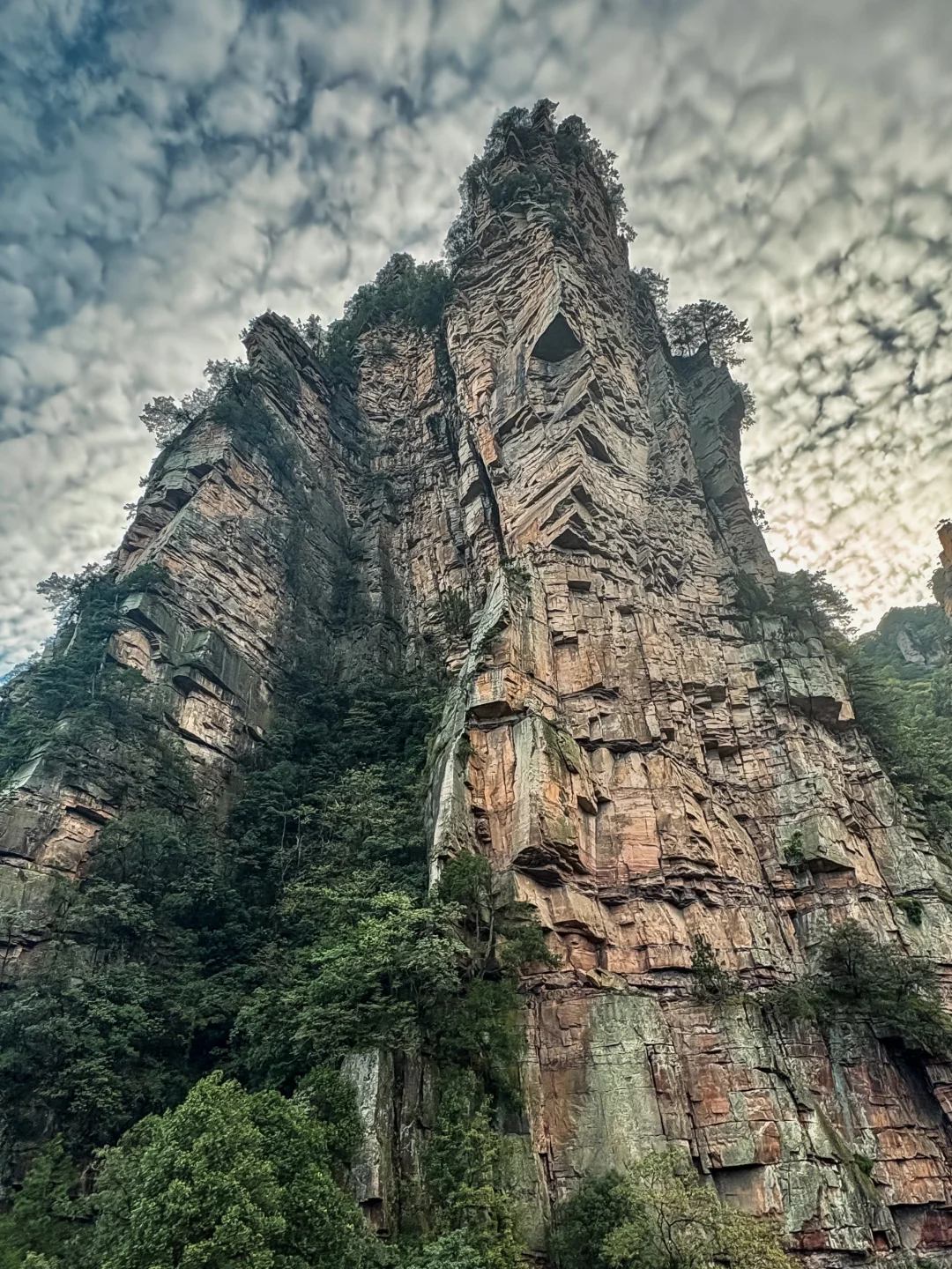 这才是张家界该有的样子