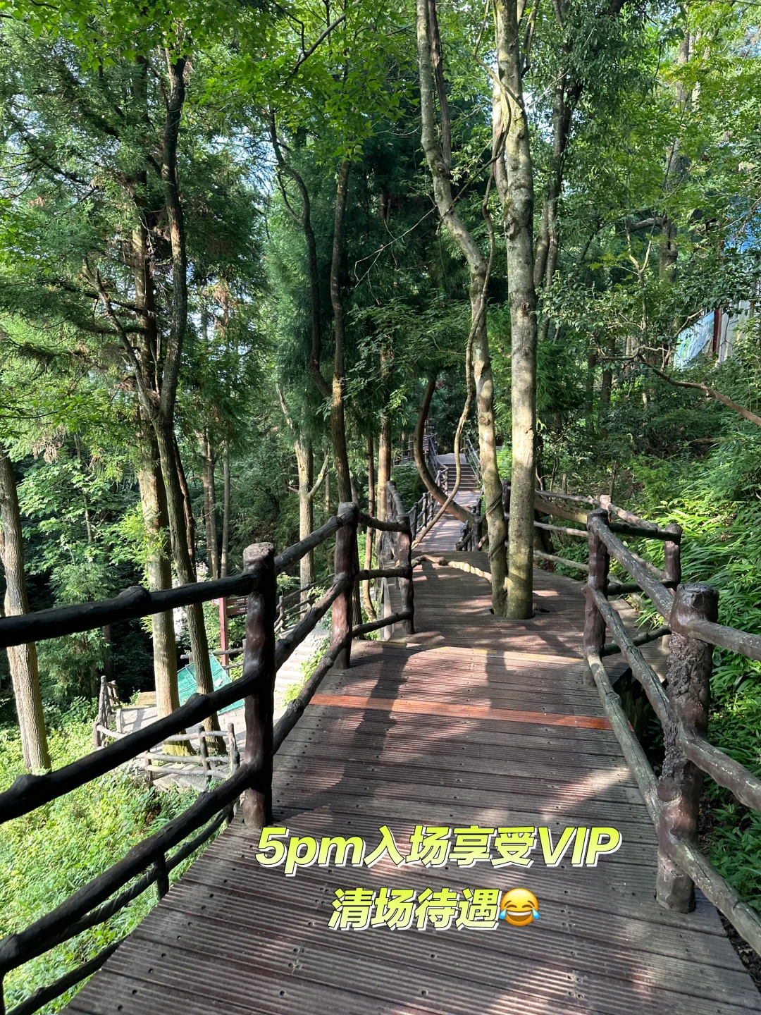 潘多拉星球我来了！💙💙💙