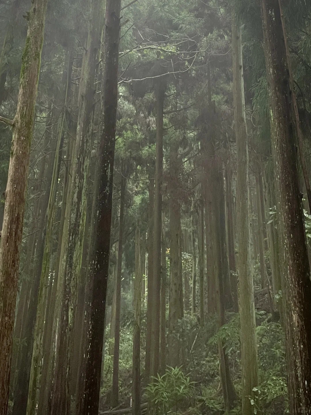 张家界｜大自然的鬼斧神工