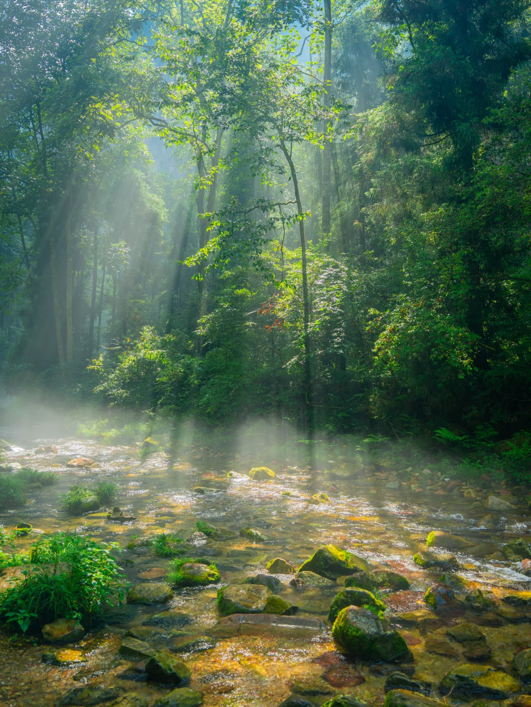 不愧是《国家地理》评为此生必去，真的绝‼️