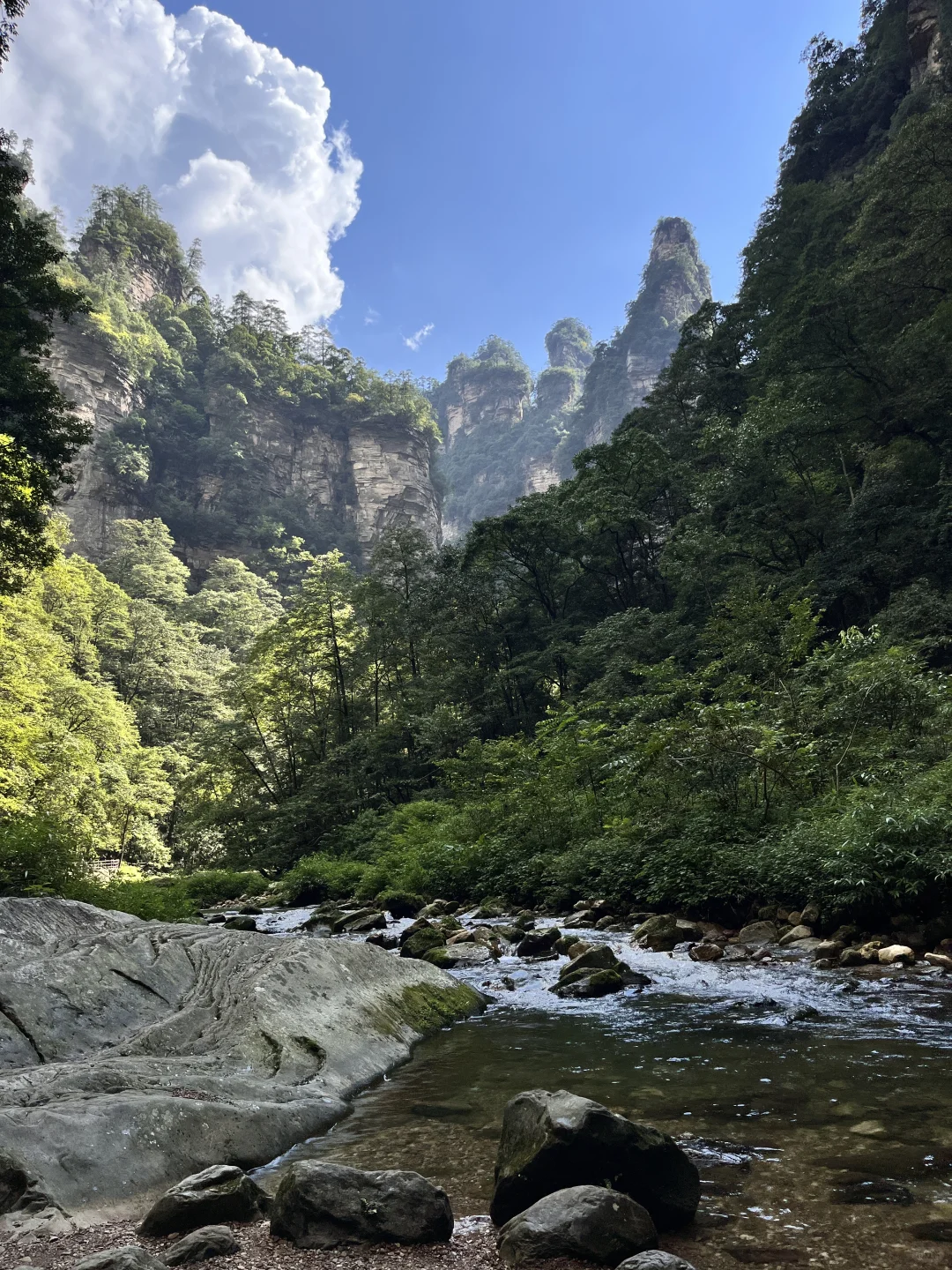 张家界森林公园一日路线（A线）