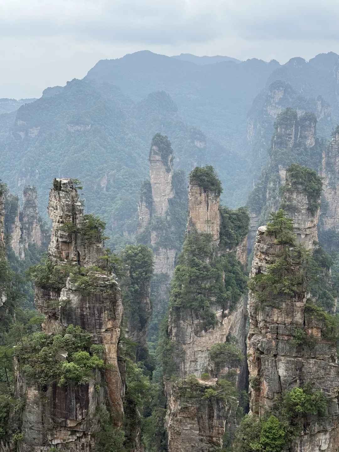 中国张家界国家森林公园～