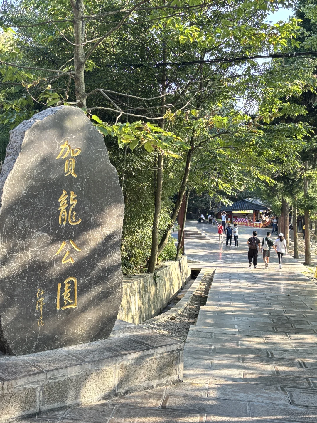 📍湖南张家界|看见仙山了！张家界森林公园