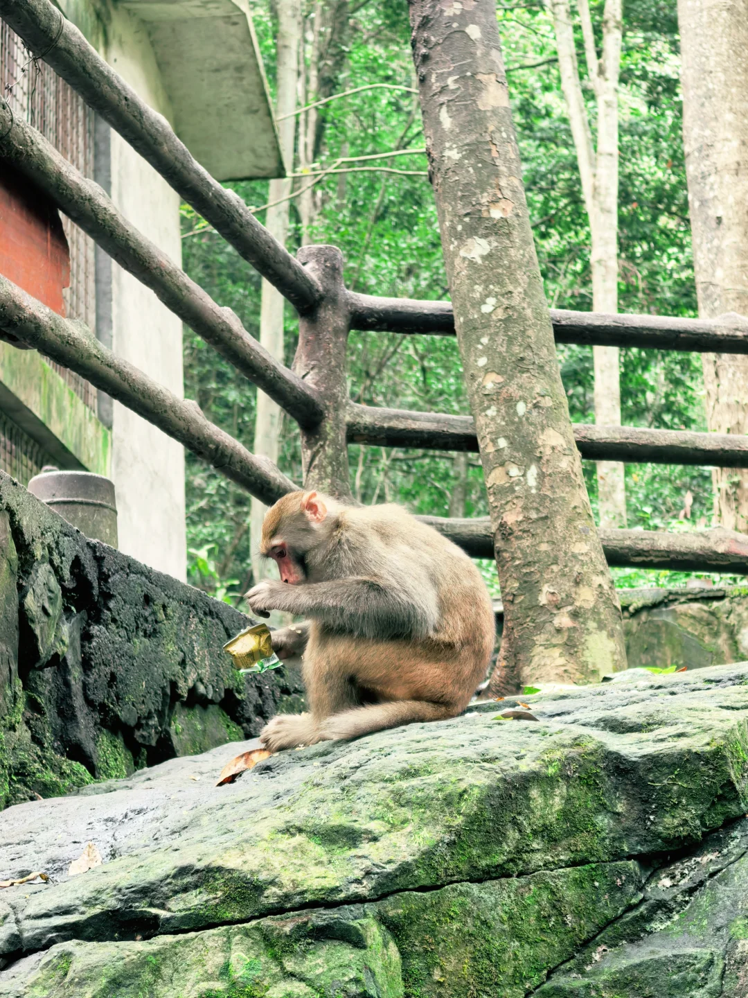 📍张家界 | 武陵源