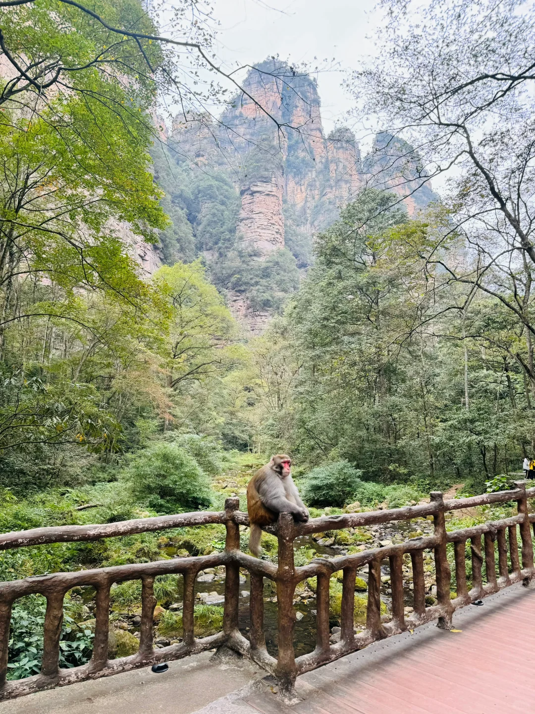 南国之旅9: 湖南张家界