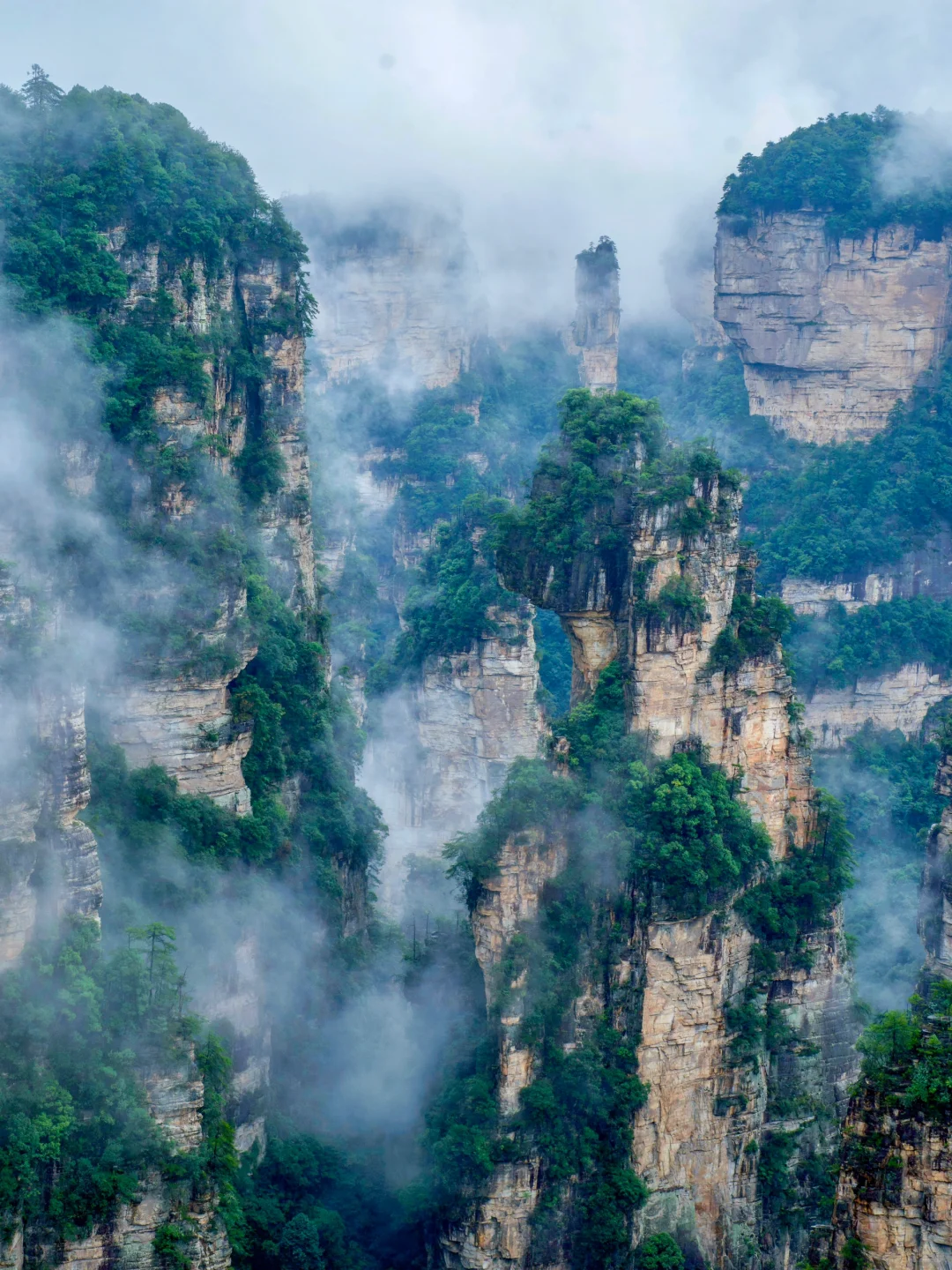 张家界刚回，美疯了！！难怪韩国人超爱🙌🏻‼️