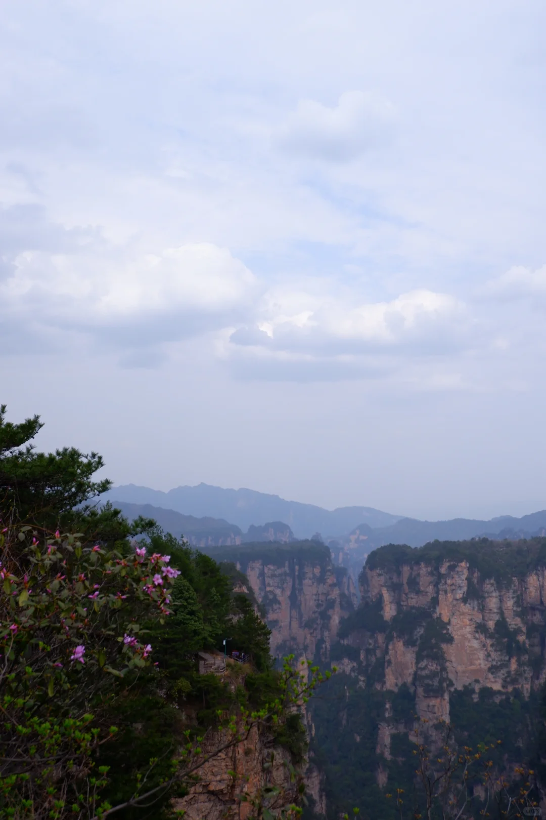 闯入阿凡达的潘多拉星球⛰️