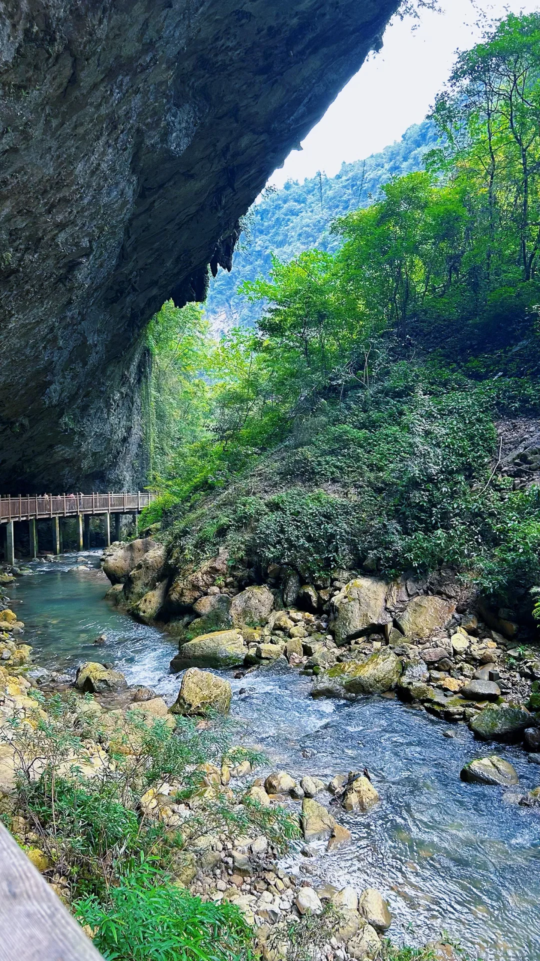 📍𝐙𝐡𝐚𝐧𝐠 𝐉𝐢𝐚 𝐉𝐢𝐞 · 大峡谷