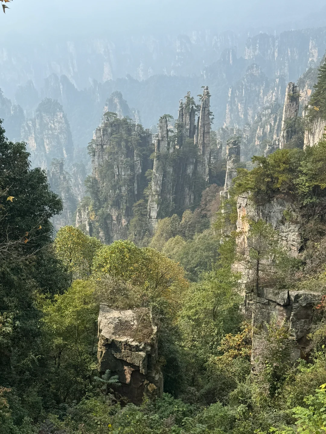 南国之旅9: 湖南张家界