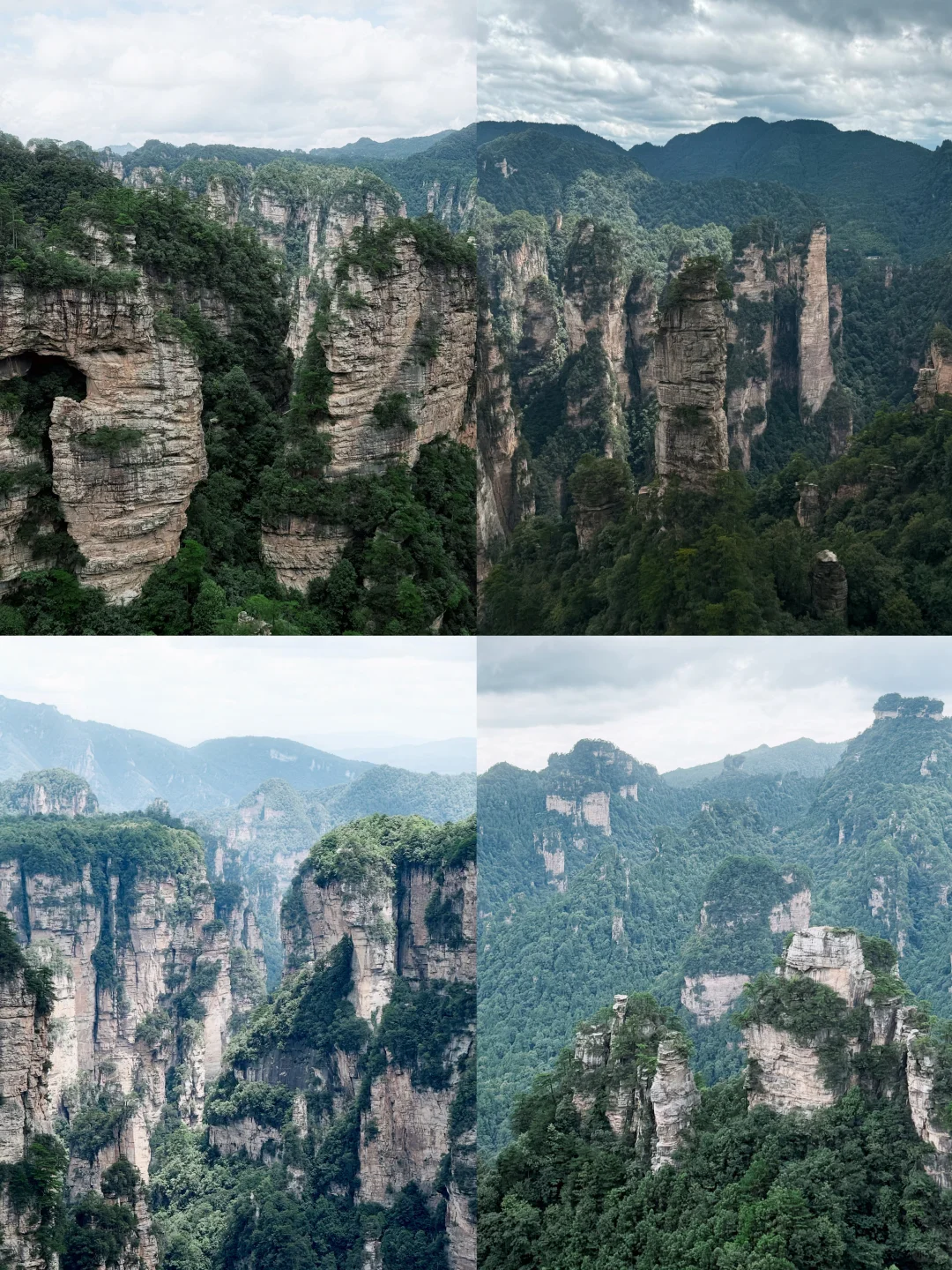 张家界森林公园超详细攻略！门票游玩全说明