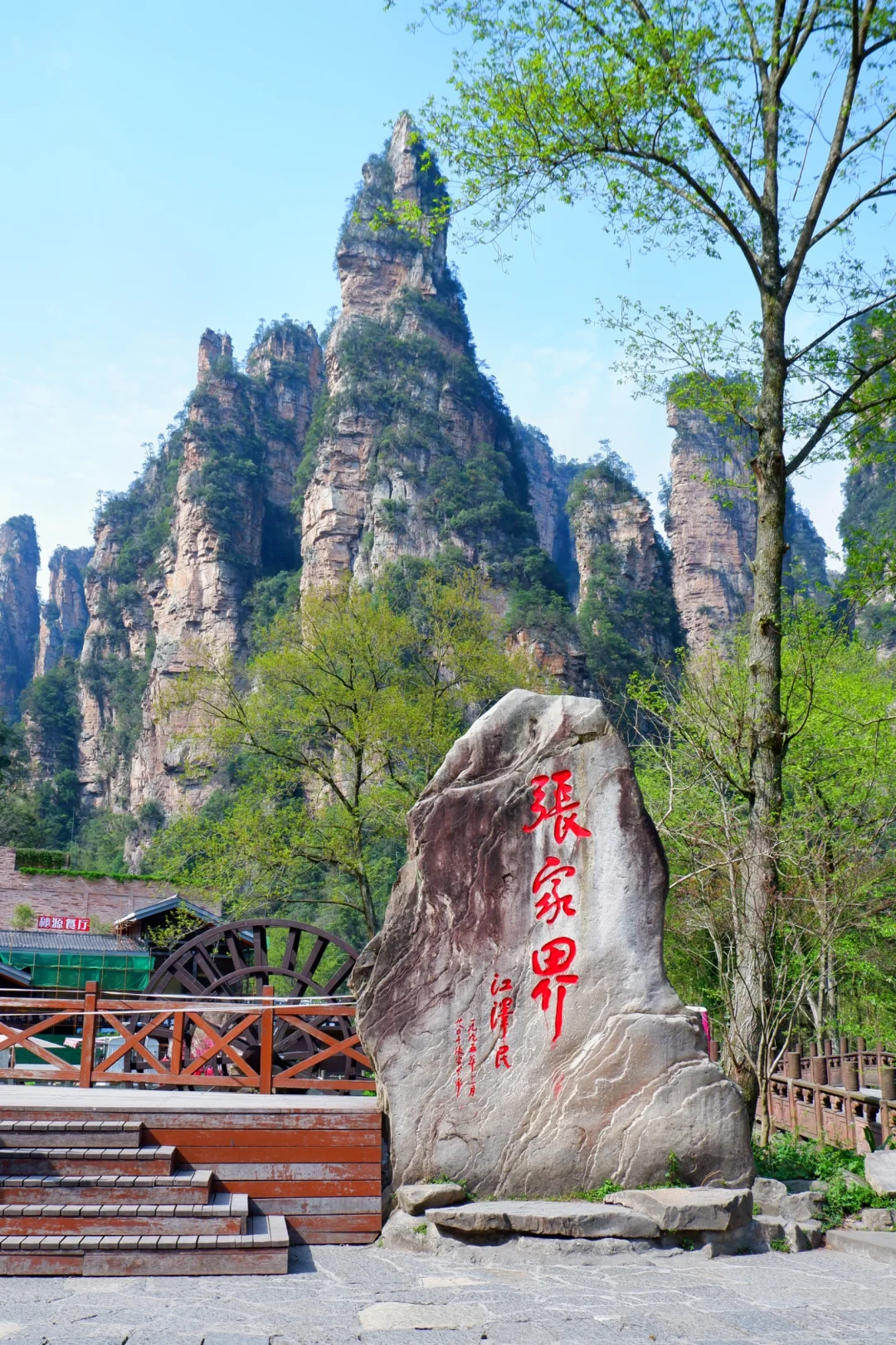 闯入阿凡达的潘多拉星球⛰️