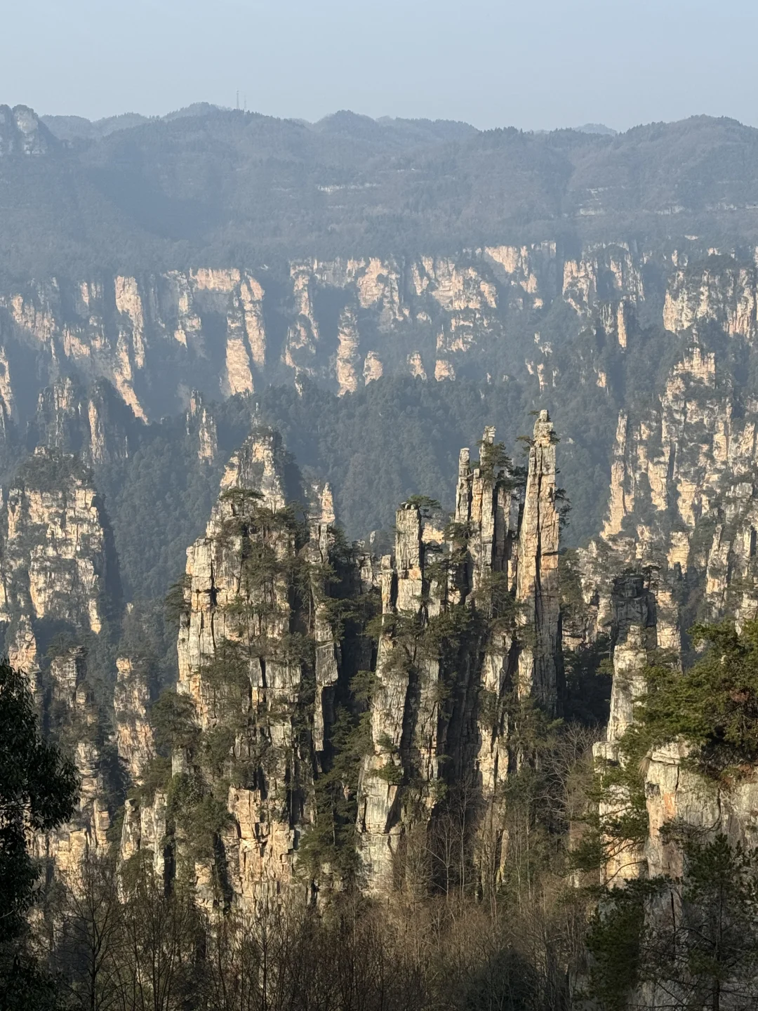 12.11 今天張家界，天氣超好！