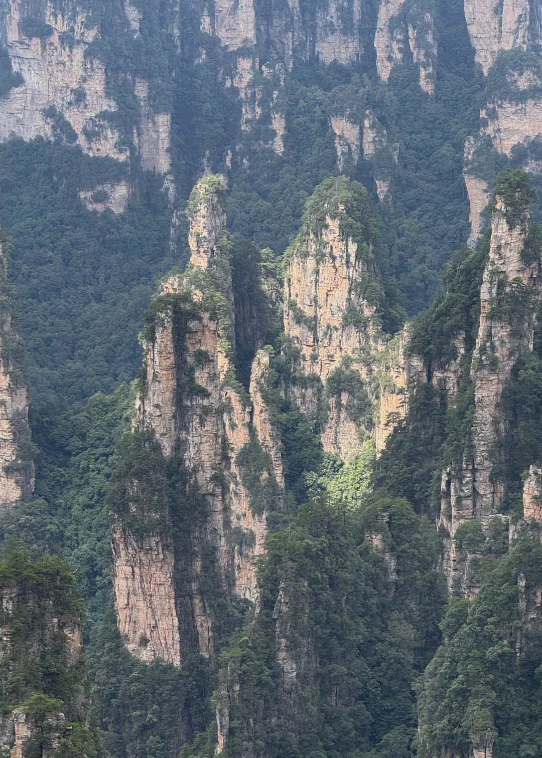 张家界森林公园一日路线（A线）