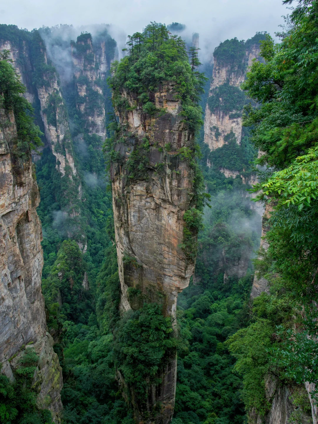 张家界刚回，美疯了！！难怪韩国人超爱🙌🏻‼️