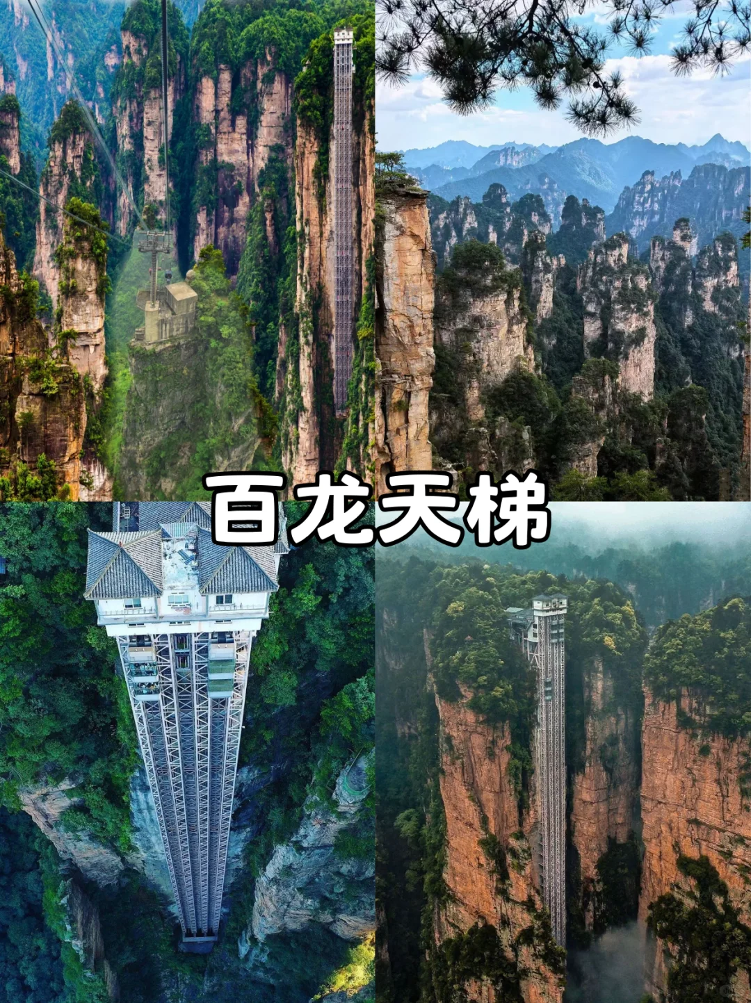 张家界三索一梯，太震撼了！快来快来