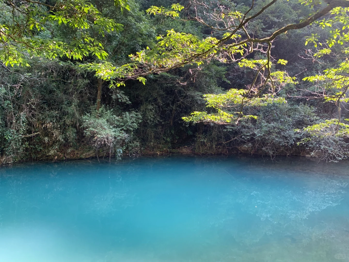 来张家界如何游玩？！