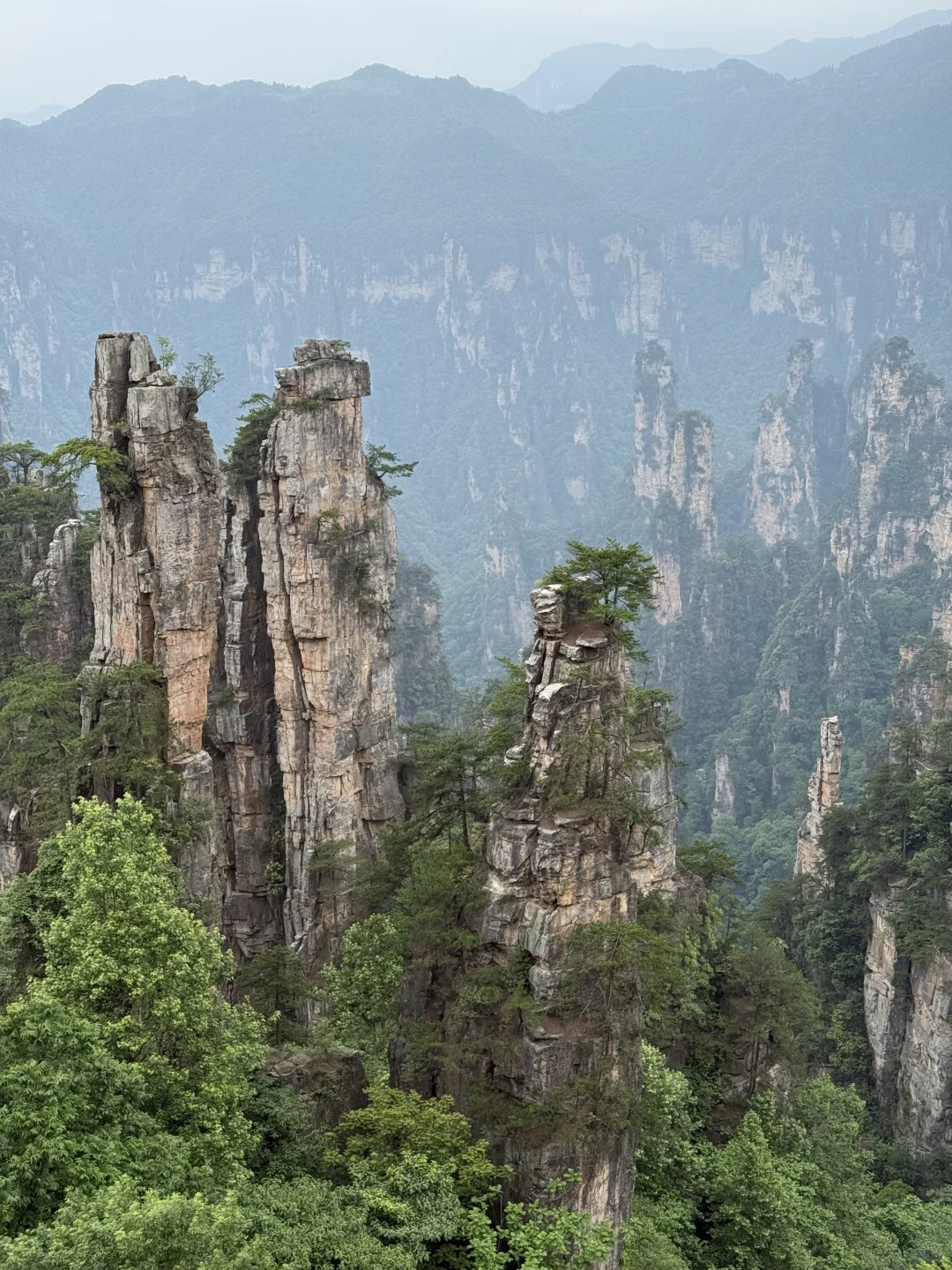 中国张家界国家森林公园～