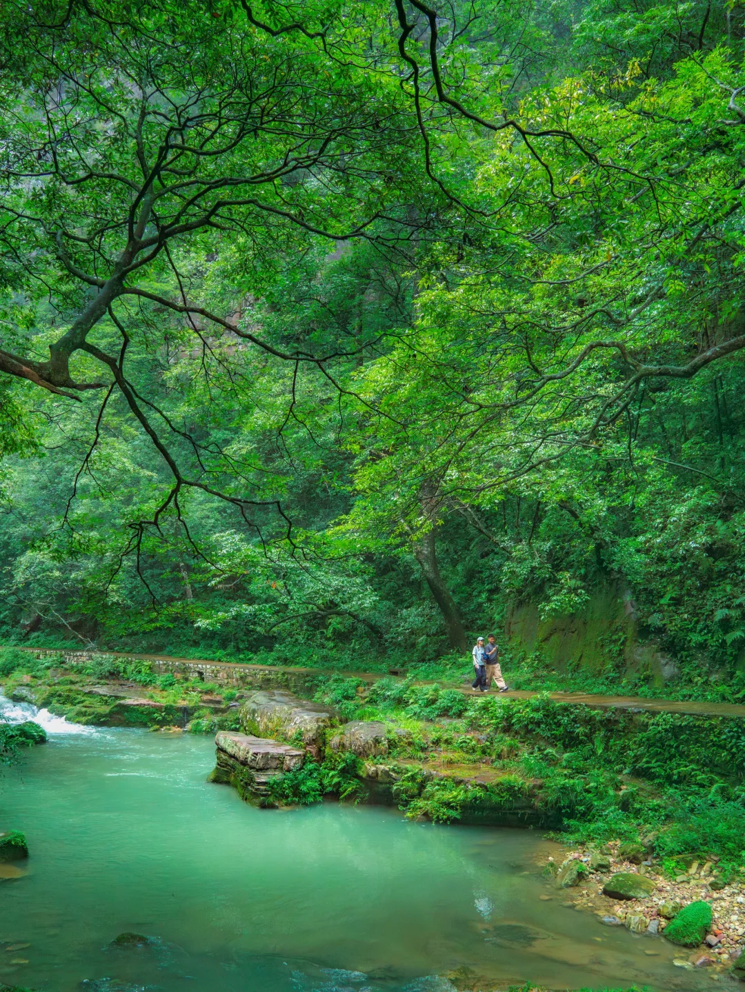 张家界‼️这么美你不宣传❓你糊涂啊😭