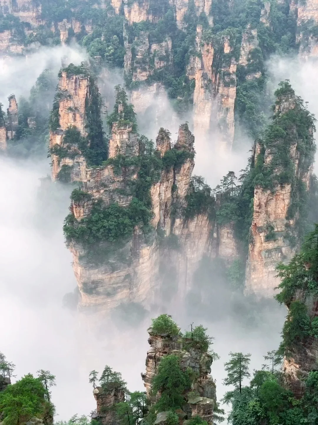 张家界刚回，再也不听小红书乱说了😭