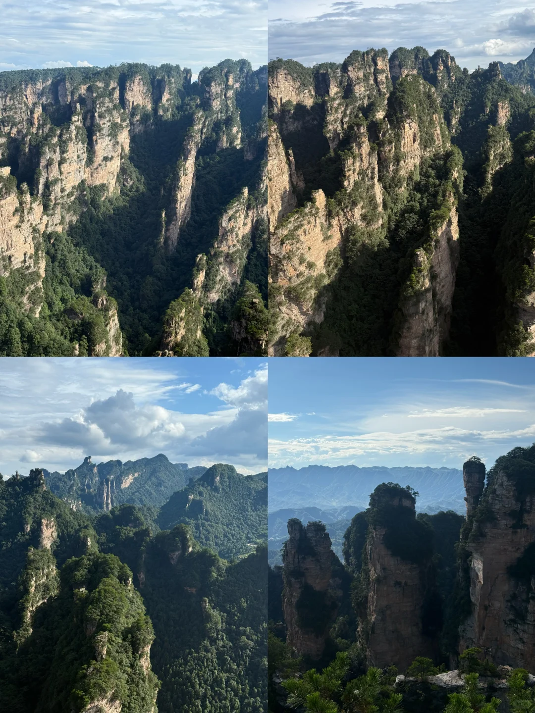 张家界森林公园超详细攻略！门票游玩全说明