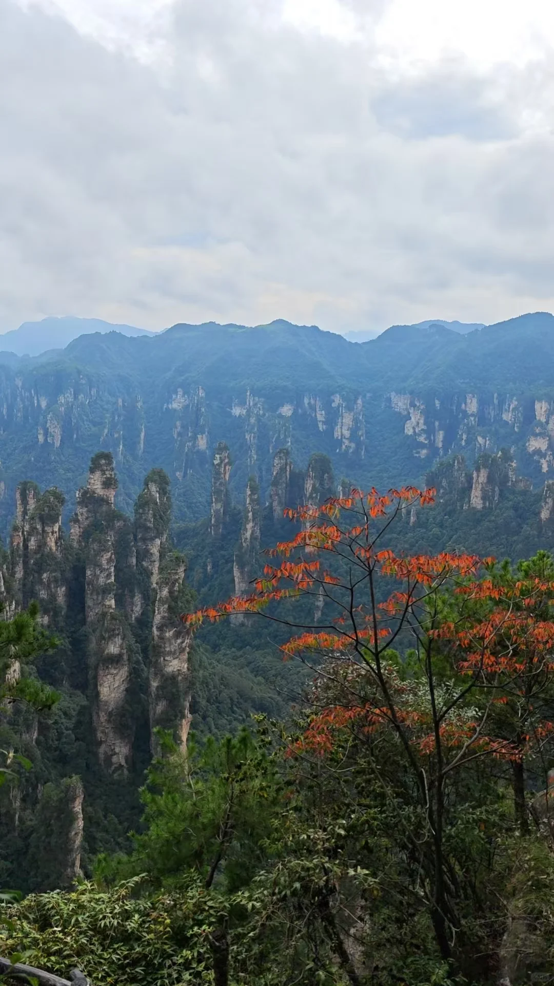 张家界英语导游一天工资多少